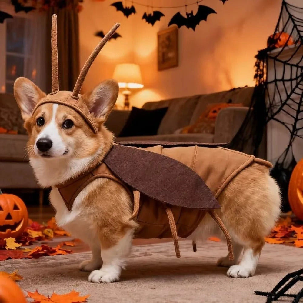 Bug Bite Pet costume